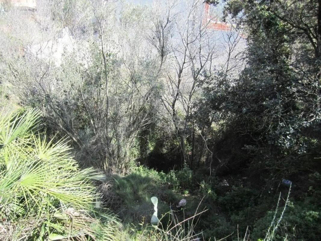 Land for sale in Serra, Valencia photo 3