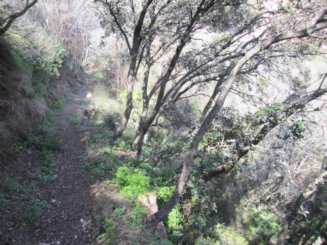 Land for sale in Serra, Valencia photo 4
