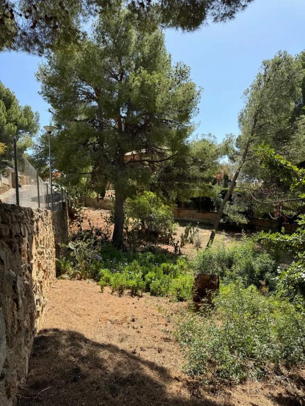 Terreno en venta en Náquera, Valencia photo 3