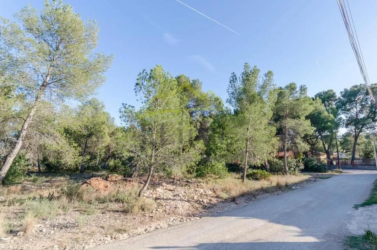 Terreno en venta en Olocau, Valencia photo 2