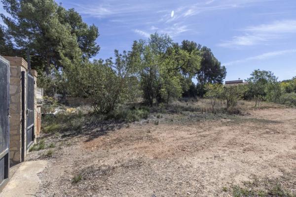 Terreno en La Loma - Las Lomas photo 3
