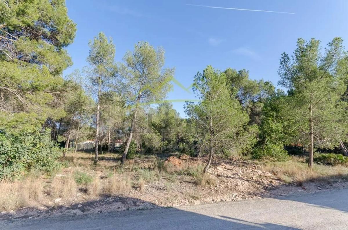 Terreno en venta en Olocau, Valencia photo 4