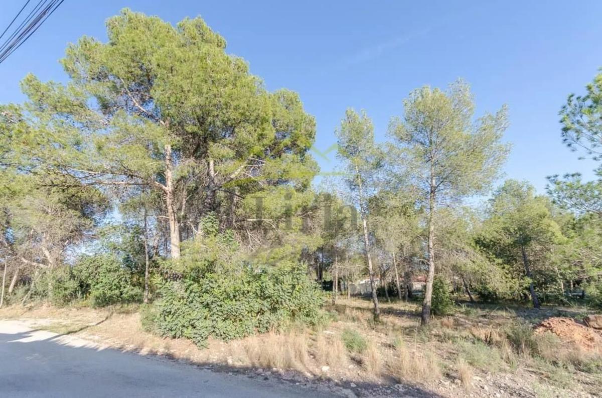 Terreno en venta en Olocau, Valencia photo 5