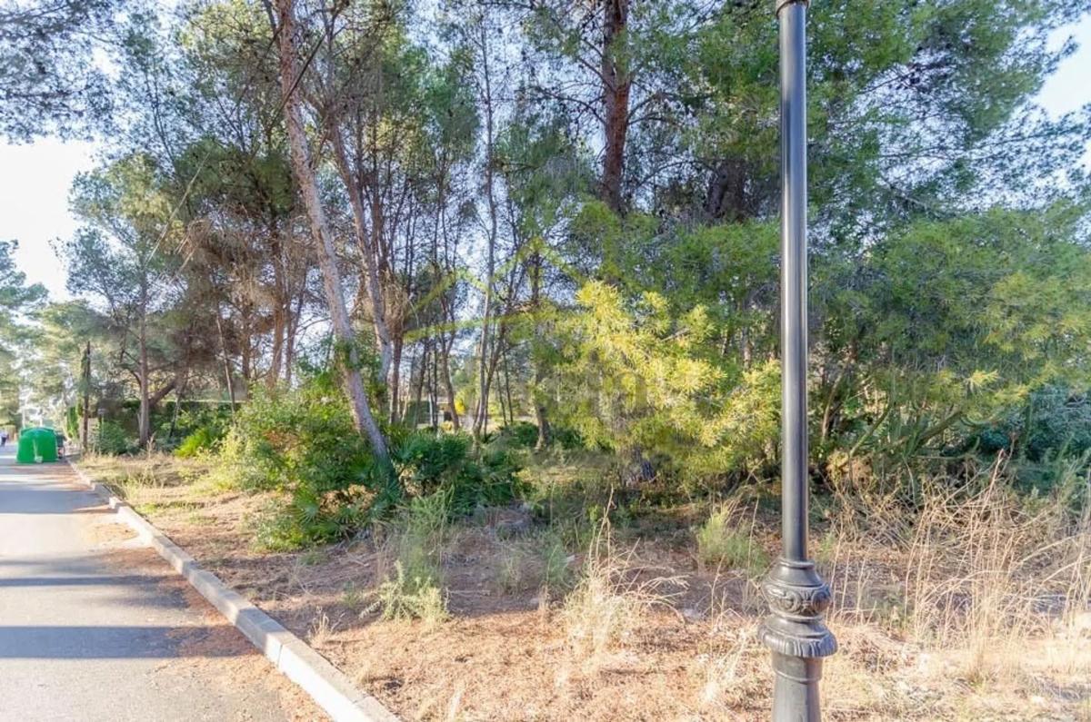 Terreno en venta en Olocau, Valencia photo 3