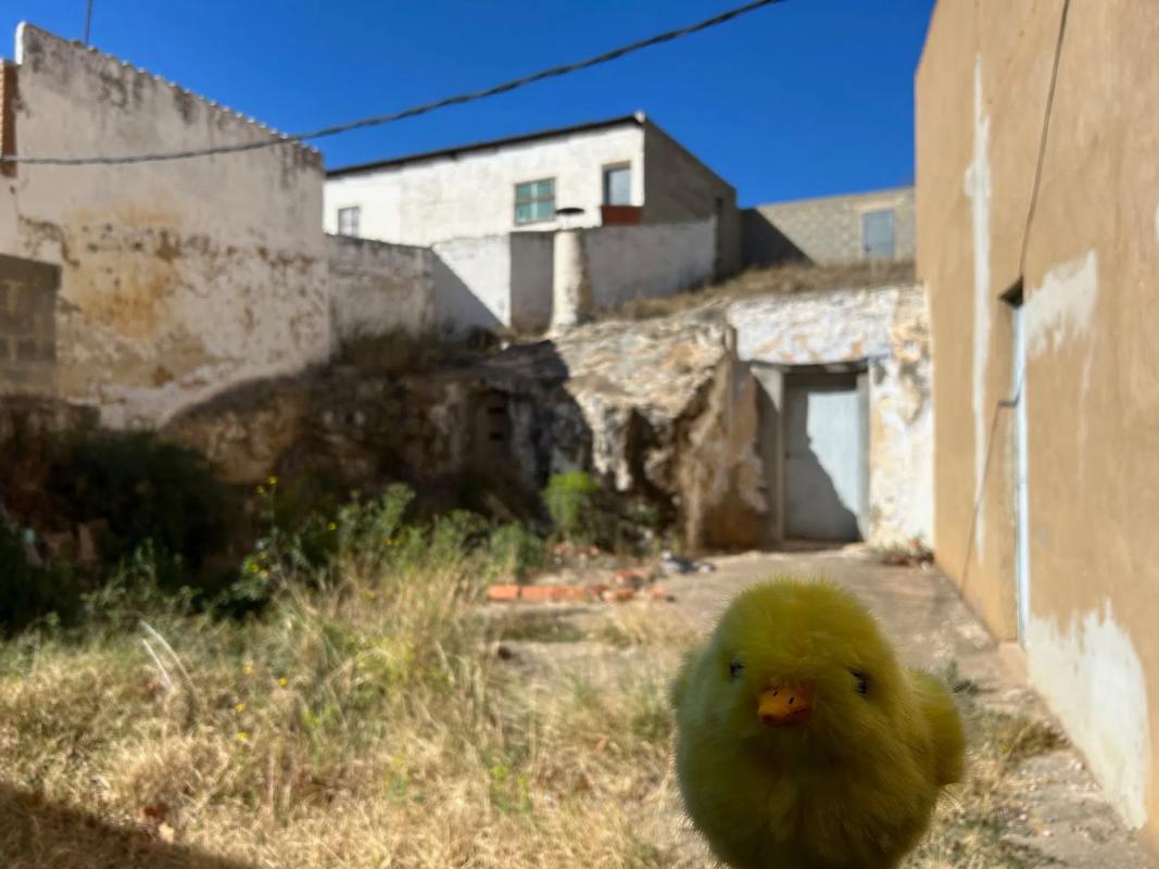 Terreno en venta en Benaguasil, Valencia photo 3