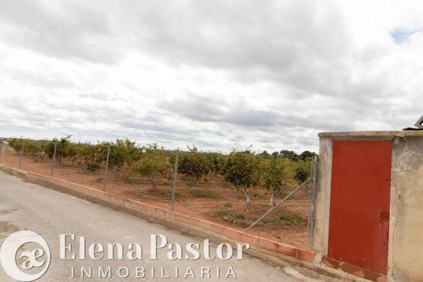 Terreno en Los Pinares-La Masía photo 1