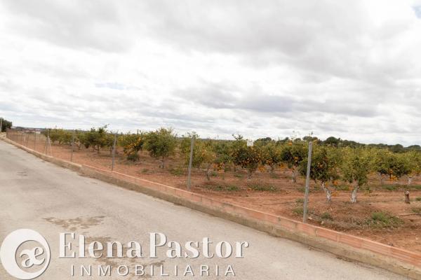 Terreno en Los Pinares-La Masía thumbnail 1