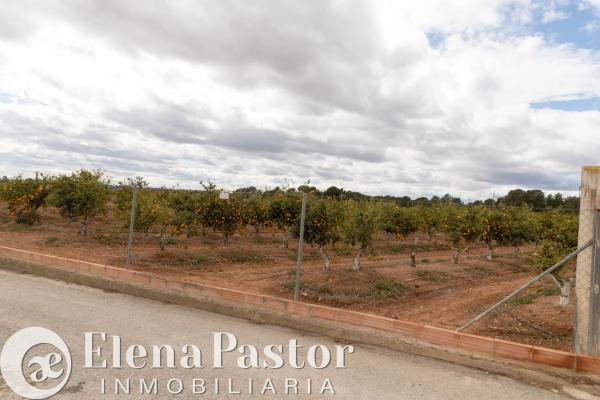 Terreno en Los Pinares-La Masía thumbnail 2