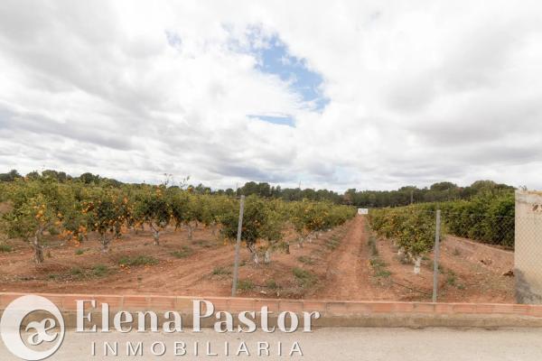 Terreno en Los Pinares-La Masía photo 4