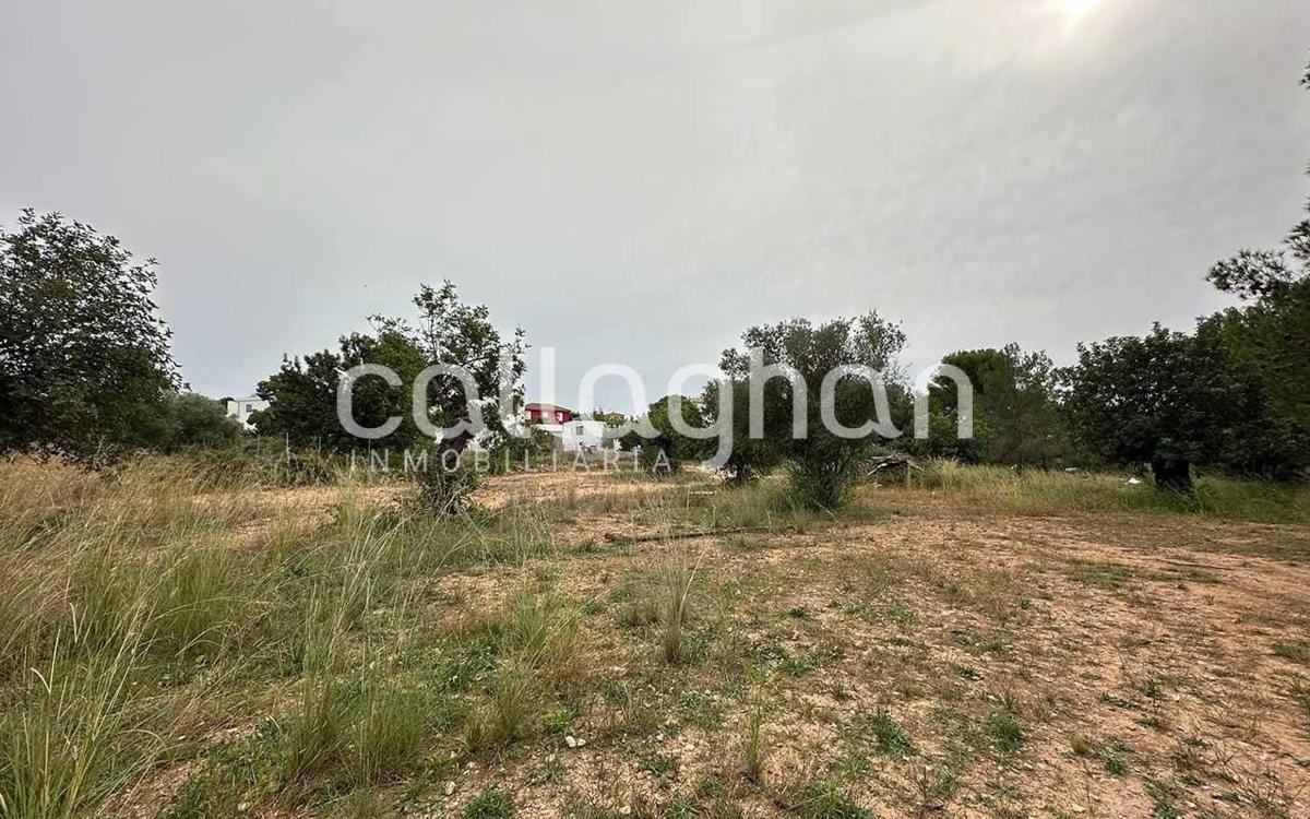 Terreno en venta en San Antonio de Benagéber, Valencia photo 4