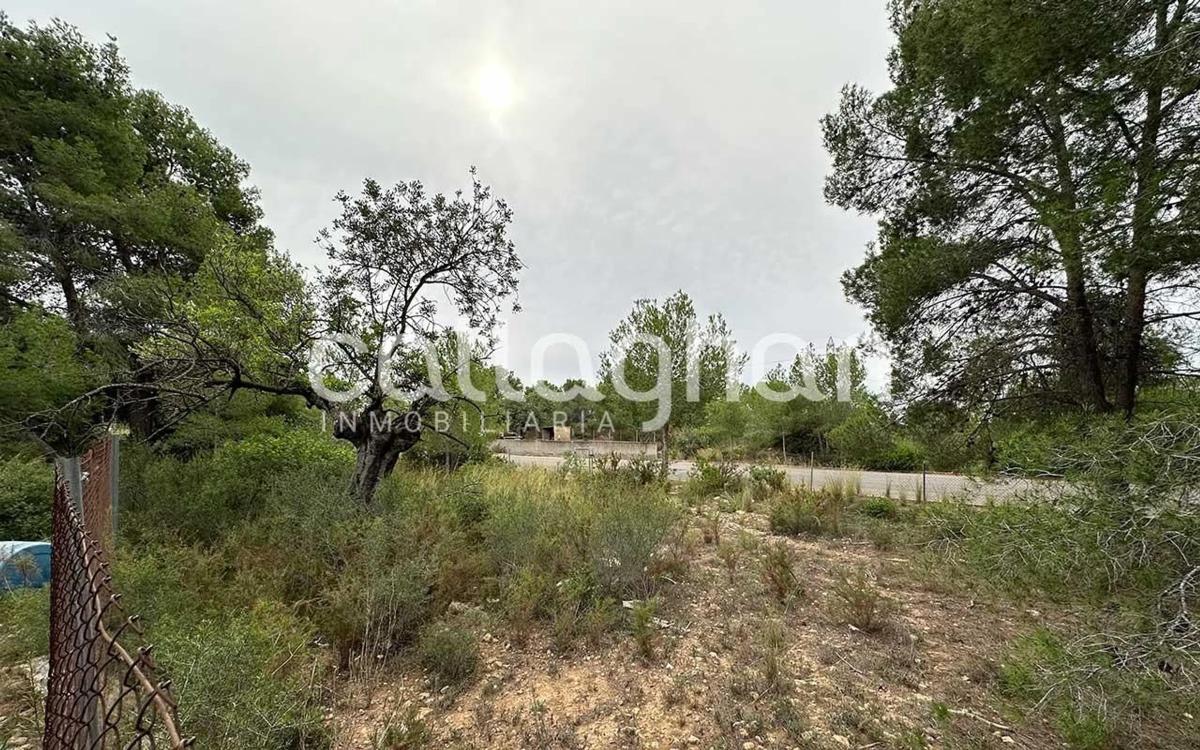 Terreno en venta en San Antonio de Benagéber, Valencia photo 5