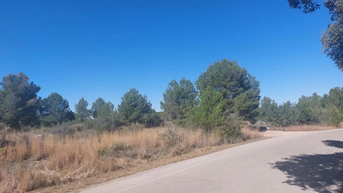 Terreno en venta en Bétera, Valencia photo 3