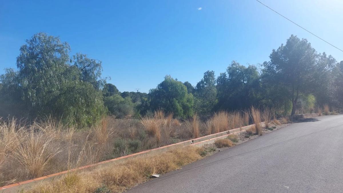 Terreno en venta en Bétera, Valencia photo 4