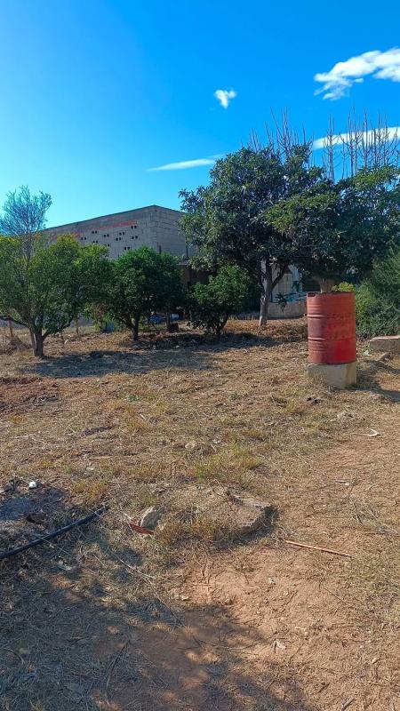 Terreno en venta en Loriguilla, Valencia photo 3