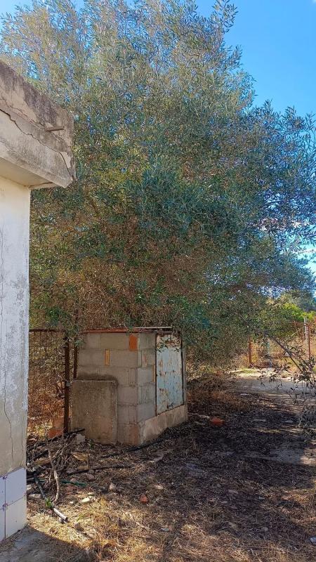 Terreno en venta en Loriguilla, Valencia photo 5