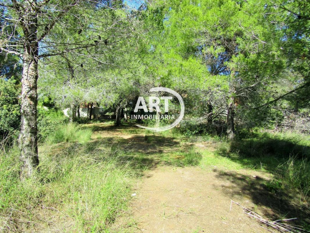 Terreno en venta en L'Eliana, Valencia photo 5