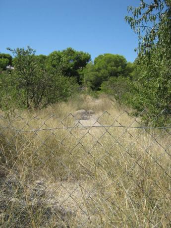 Terreno en calle pinar, 50 photo
