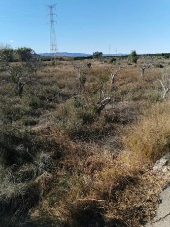 Terreno en Riba-Roja de Túria thumbnail 1