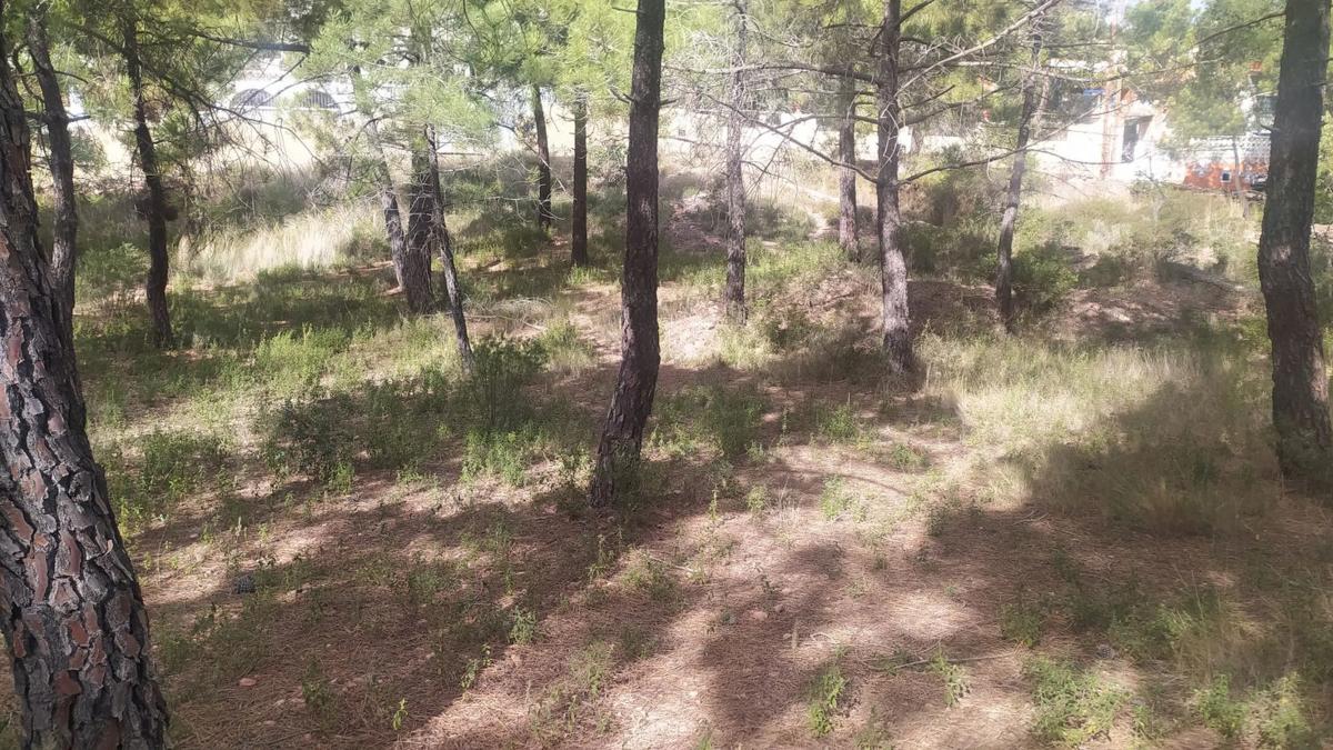 Land for sale in Gátova, Valencia photo 3
