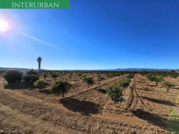 Terreno en Santa Bárbara photo 1