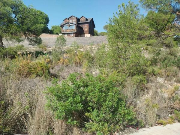 Terreno en calle Oms photo 1