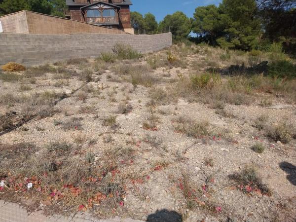 Terreno en calle Oms photo 2