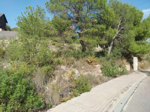 Terreno en calle Oms photo 3