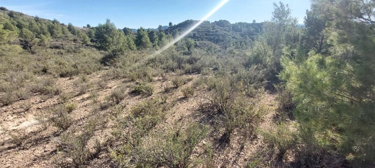 Terreno en venta en Benaguasil, Valencia photo 2