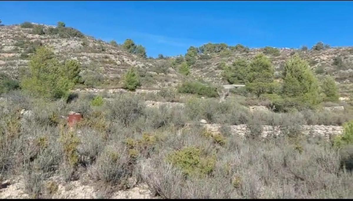 Terreno en venta en Benaguasil, Valencia photo 3