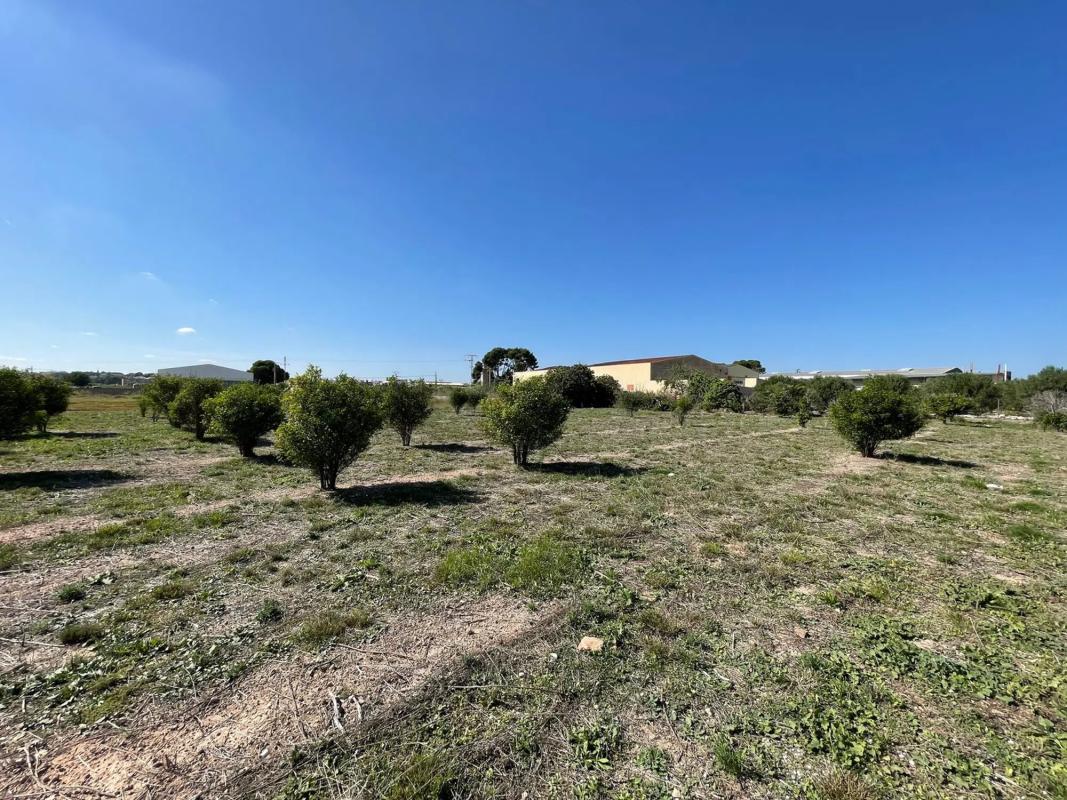 Terreno en venta en Bétera, Valencia photo 2