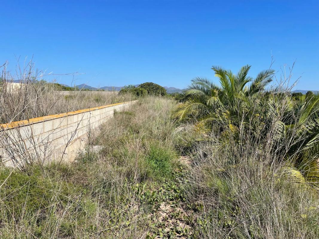 Terreno en venta en Bétera, Valencia photo 4