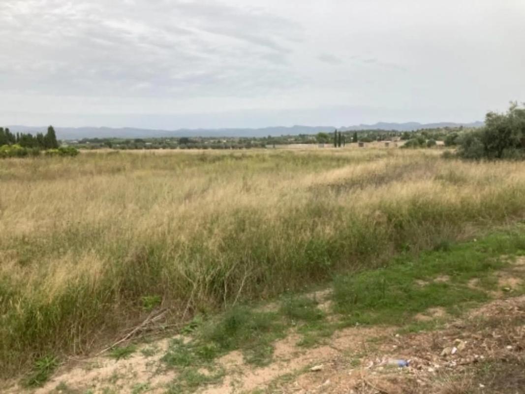 Land for sale in Llíria, Valencia photo 5