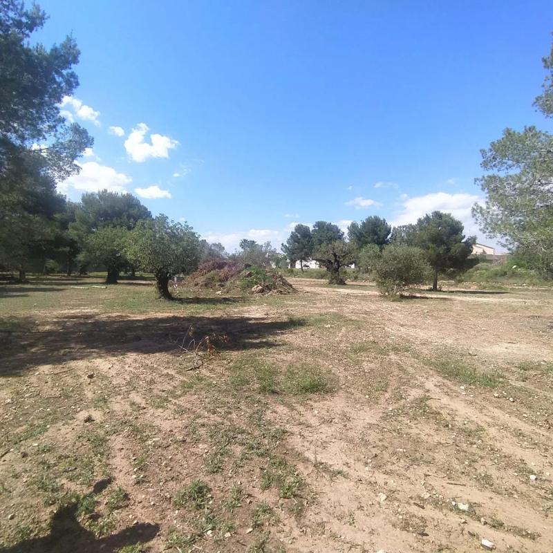 Terreno en venta en San Antonio de Benagéber, Valencia photo 3