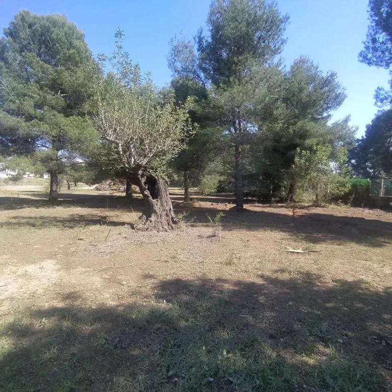 Terreno en venta en San Antonio de Benagéber, Valencia photo 4