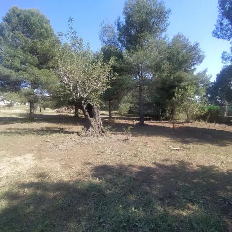 Terreno en San Antonio de Benagéber photo 4