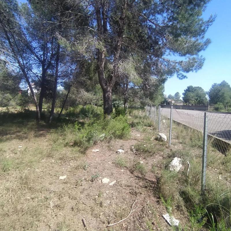 Terreno en venta en San Antonio de Benagéber, Valencia photo 5