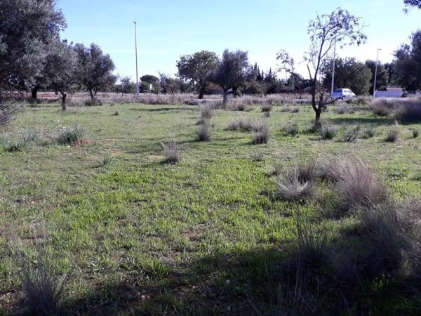 Terreno en Urbanizaciones photo 1