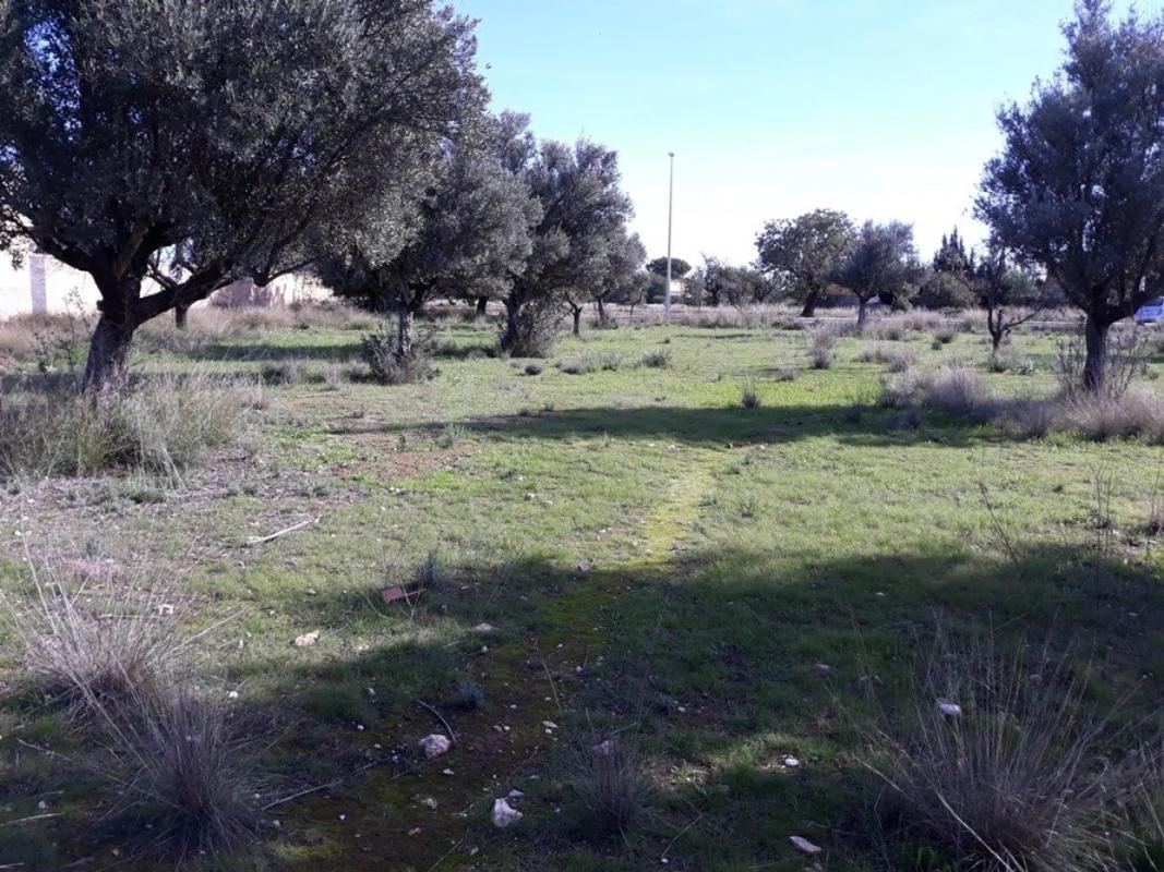 Land for sale in Llíria, Valencia photo 2