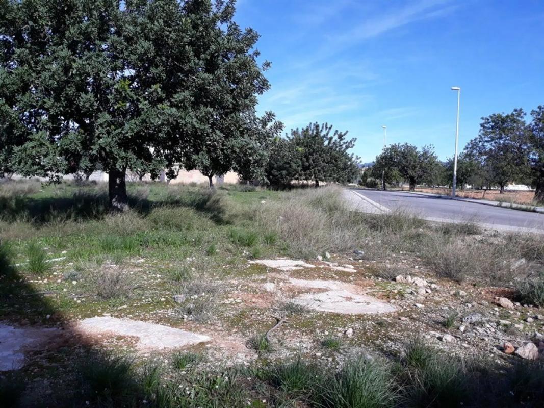 Land for sale in Llíria, Valencia photo 3