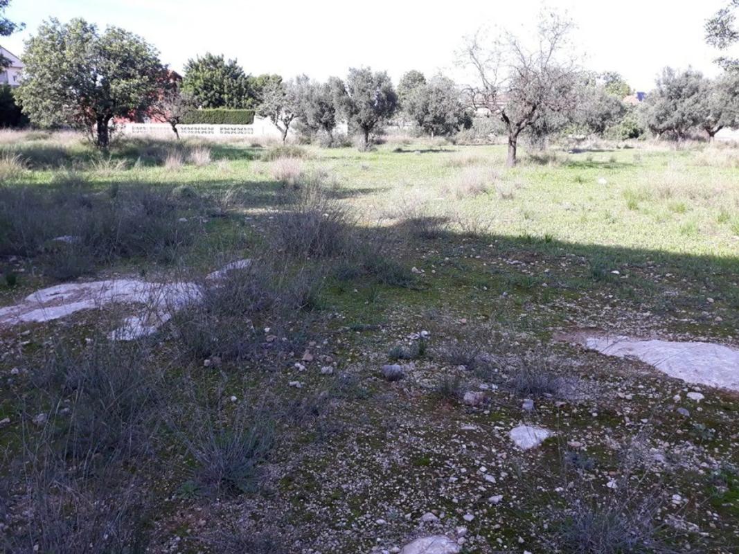 Land for sale in Llíria, Valencia photo 4