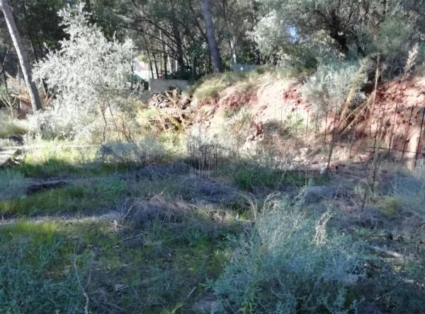 Terreno en calle Nou photo 1