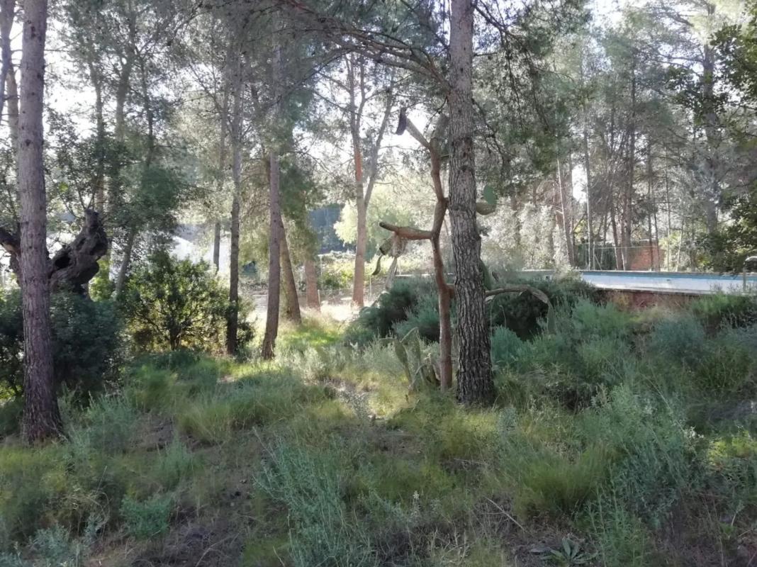 Terreno en venta en Náquera, Valencia photo 3