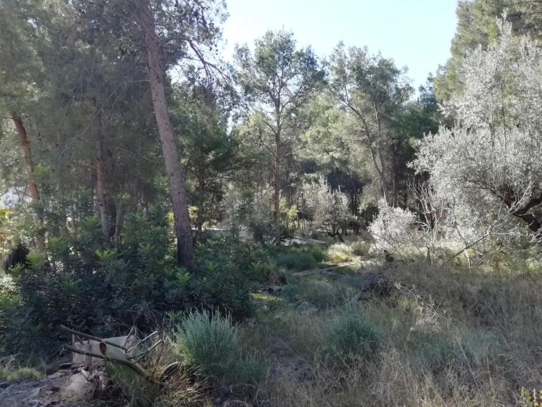 Terreno en venta en Náquera, Valencia photo 4