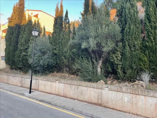 Terreno en calle Rincon de Naquera photo 4
