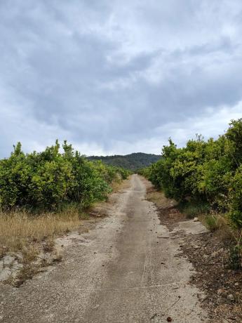 Terreno en Barranc del palmeral s/n thumbnail 2
