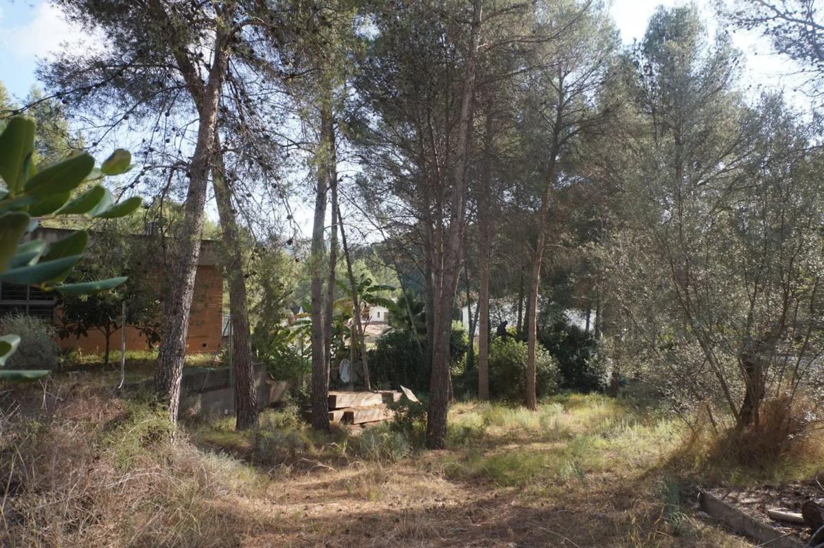 Land for sale in Náquera, Valencia photo 2