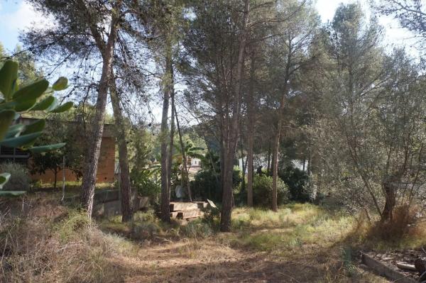 Terreno en Monteamor - La Carrasca - El Peucal photo 2