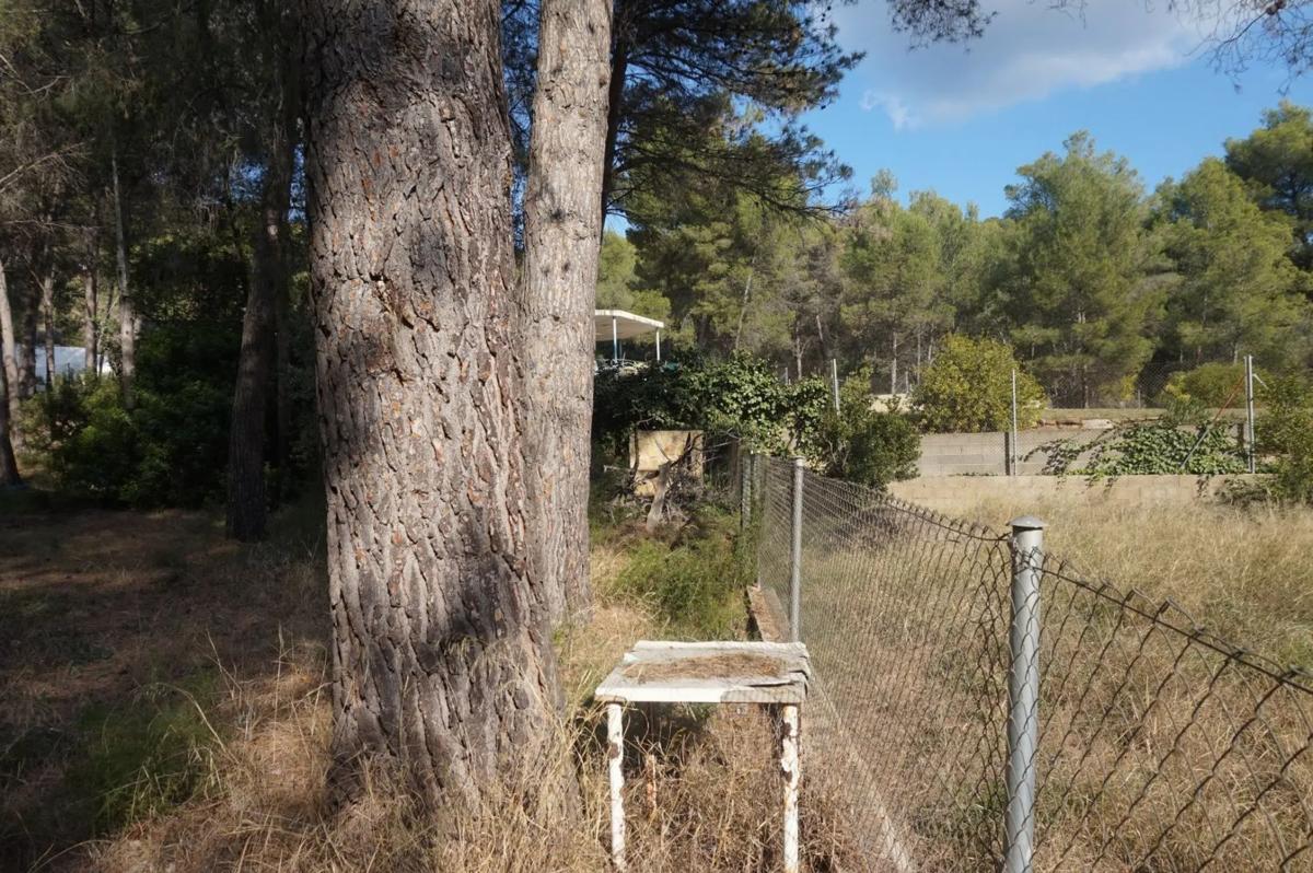 Land for sale in Náquera, Valencia photo 3