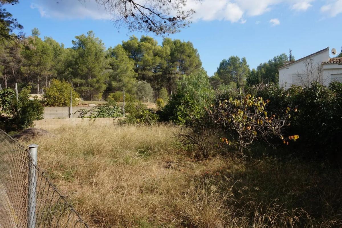 Land for sale in Náquera, Valencia photo 4
