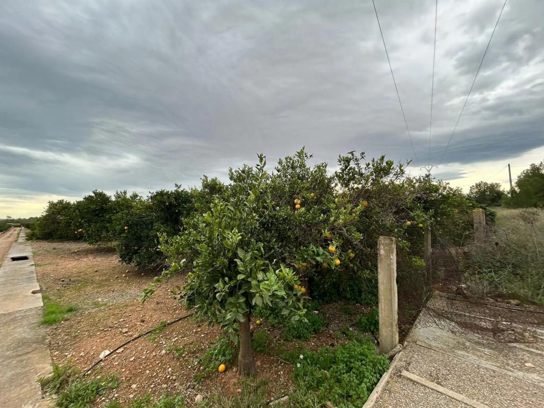 Terreno en venta en Bétera, Valencia photo 1